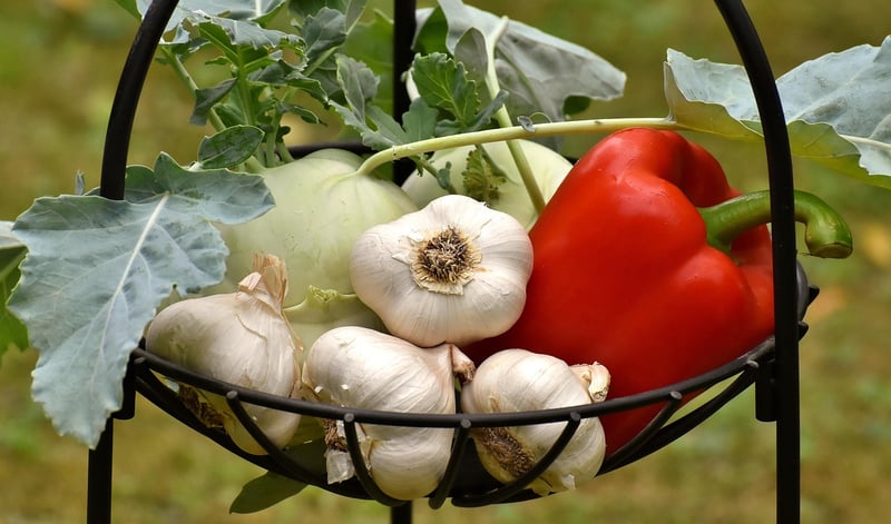 Plant-Based Foods